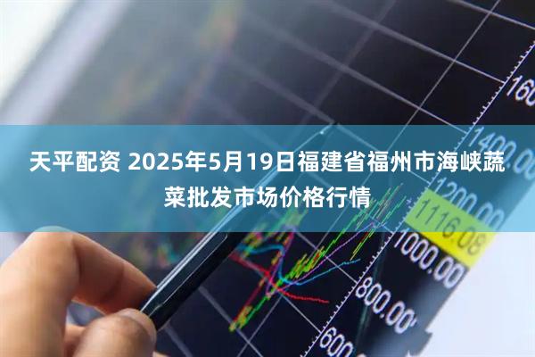 天平配资 2025年5月19日福建省福州市海峡蔬菜批发市场价格行情