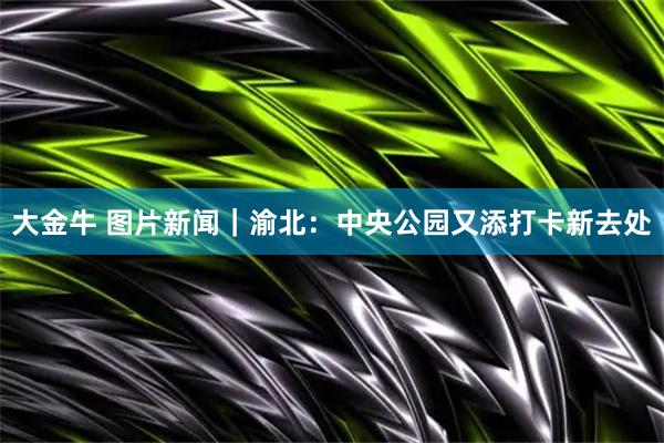 大金牛 图片新闻｜渝北：中央公园又添打卡新去处