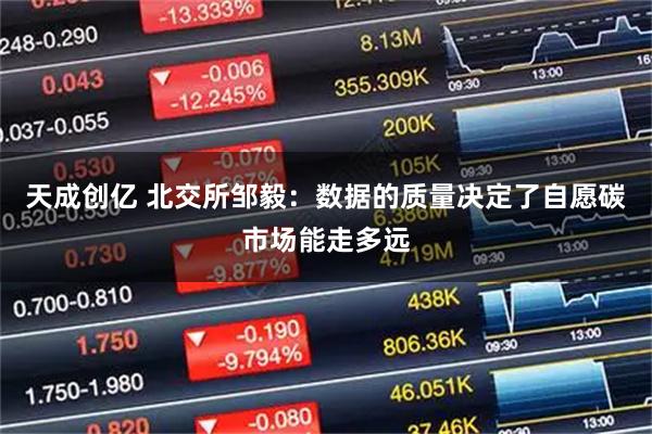 天成创亿 北交所邹毅：数据的质量决定了自愿碳市场能走多远