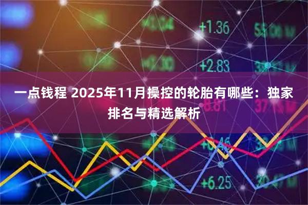 一点钱程 2025年11月操控的轮胎有哪些：独家排名与精选解析