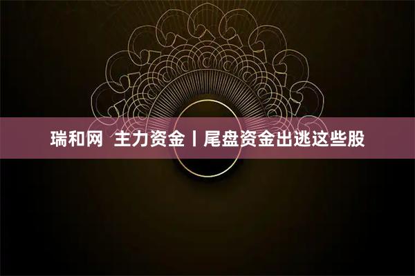 瑞和网  主力资金丨尾盘资金出逃这些股