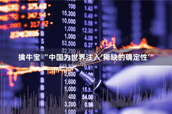 擒牛宝 “中国为世界注入‘稀缺的确定性’”